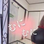 ヒメ日記 2025/02/12 20:33 投稿 まり Hip's千葉駅前店