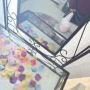 ヒメ日記 2025/04/24 23:14 投稿 まり Hip's千葉駅前店