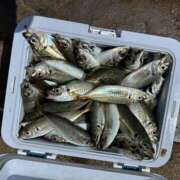 ヒメ日記 2025/06/06 15:30 投稿 まいか 奥鉄オクテツ神奈川店（デリヘル市場グループ）