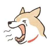 ヒメ日記 2025/01/17 08:00 投稿 植村（うえむら） 熟女の風俗最終章 名古屋店