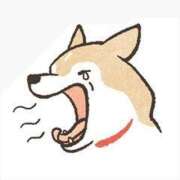 ヒメ日記 2025/04/20 08:50 投稿 植村（うえむら） 熟女の風俗最終章 名古屋店