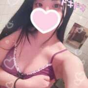 ヒメ日記 2025/02/13 22:02 投稿 みつね お姉京都