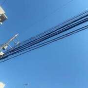 ヒメ日記 2025/03/22 15:30 投稿 みつね お姉京都