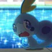 ヒメ日記 2025/04/22 07:11 投稿 みつね お姉京都