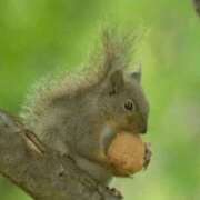 ヒメ日記 2025/09/17 13:32 投稿 みつね お姉京都