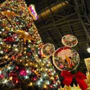 ヒメ日記 2025/12/03 05:12 投稿 みつね お姉京都