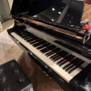 ヒメ日記 2025/12/23 09:03 投稿 みつね お姉京都