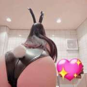 ヒメ日記 2026/04/24 06:12 投稿 みつね お姉京都