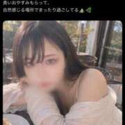 ヒメ日記 2026/05/31 09:13 投稿 みつね お姉京都