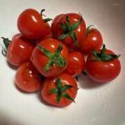 ヒメ日記 2025/07/24 12:29 投稿 津城　うた やみつきエステ2nd札幌店