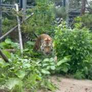 ヒメ日記 2025/07/29 21:58 投稿 津城　うた やみつきエステ2nd札幌店