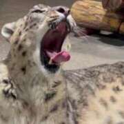 ヒメ日記 2025/08/11 09:50 投稿 津城　うた やみつきエステ2nd札幌店