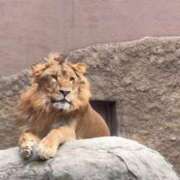 ヒメ日記 2025/08/27 11:18 投稿 津城　うた やみつきエステ2nd札幌店