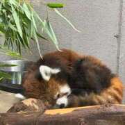 ヒメ日記 2026/03/02 08:55 投稿 津城　うた やみつきエステ2nd札幌店