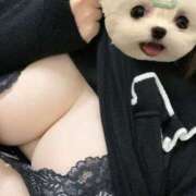 ヒメ日記 2025/06/04 22:06 投稿 ひびき チュッパリップス川崎in武蔵小杉