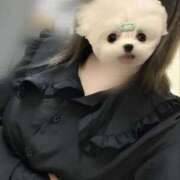 ヒメ日記 2025/06/15 00:49 投稿 ひびき チュッパリップス川崎in武蔵小杉