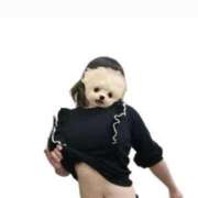 ヒメ日記 2025/11/19 17:13 投稿 ひびき チュッパリップス川崎in武蔵小杉