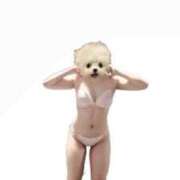 ヒメ日記 2026/01/28 23:45 投稿 ひびき チュッパリップス川崎in武蔵小杉