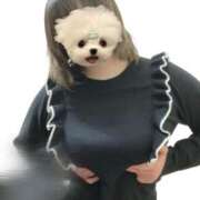 ヒメ日記 2025/06/05 17:44 投稿 ひびき チュッパリップス横浜in綱島