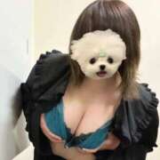 ヒメ日記 2025/07/27 01:54 投稿 ひびき チュッパリップス横浜in綱島