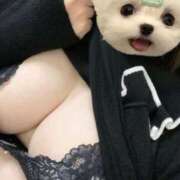 ヒメ日記 2025/07/27 15:50 投稿 ひびき チュッパリップス横浜in綱島