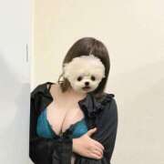 ヒメ日記 2025/08/10 01:05 投稿 ひびき チュッパリップス横浜in綱島