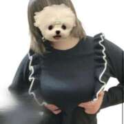 ヒメ日記 2025/11/07 22:16 投稿 ひびき チュッパリップス横浜in綱島