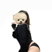 ひびき ドえ〇ちなお兄さんご指名ありがとう♡ チュッパリップス横浜in綱島