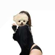 ヒメ日記 2026/02/08 01:05 投稿 ひびき チュッパリップス横浜in綱島