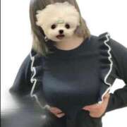 ヒメ日記 2026/04/22 00:54 投稿 ひびき チュッパリップス横浜in綱島