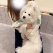 ヒメ日記 2025/02/25 17:33 投稿 ゆの 即プレイ専門店 性の極み