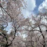 ヒメ日記 2025/04/29 23:11 投稿 かよ 錦糸町人妻ヒットパレード（シンデレラグループ）