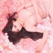 ヒメ日記 2025/03/01 11:54 投稿 鳴神かのん 金瓶梅(きんぺいぱい)(雄琴)