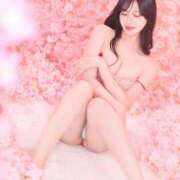 ヒメ日記 2025/03/07 09:24 投稿 鳴神かのん 金瓶梅(きんぺいぱい)(雄琴)