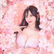 ヒメ日記 2025/03/15 12:47 投稿 鳴神かのん 金瓶梅(きんぺいぱい)(雄琴)