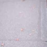 ヒメ日記 2025/04/10 09:28 投稿 鳴神かのん 金瓶梅(きんぺいぱい)(雄琴)