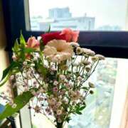 ヒメ日記 2025/04/18 16:57 投稿 鳴神かのん 金瓶梅(きんぺいぱい)(雄琴)