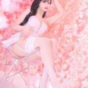 ヒメ日記 2025/04/20 09:14 投稿 鳴神かのん 金瓶梅(きんぺいぱい)(雄琴)