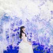 ヒメ日記 2025/04/20 15:14 投稿 鳴神かのん 金瓶梅(きんぺいぱい)(雄琴)