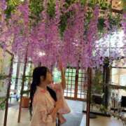 ヒメ日記 2025/06/02 11:34 投稿 鳴神かのん 金瓶梅(きんぺいぱい)(雄琴)