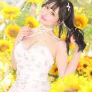 ヒメ日記 2025/06/15 05:04 投稿 鳴神かのん 金瓶梅(きんぺいぱい)(雄琴)