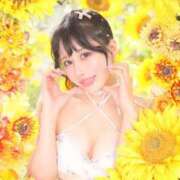 ヒメ日記 2025/07/23 09:44 投稿 鳴神かのん 金瓶梅(きんぺいぱい)(雄琴)