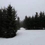 かや さみ〜ですな 中洲秘密倶楽部