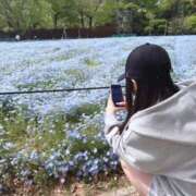 ヒメ日記 2025/04/24 16:12 投稿 さな カクテル(岡山)