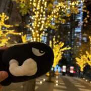 ヒメ日記 2024/12/18 00:30 投稿 まお えちちSPA-えっちな回春性感マッサージ-五反田店