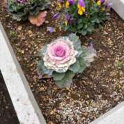 ヒメ日記 2025/01/26 12:34 投稿 まお えちちSPA-えっちな回春性感マッサージ-五反田店