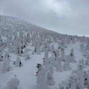 ヒメ日記 2025/03/12 19:36 投稿 まお えちちSPA-えっちな回春性感マッサージ-五反田店