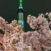 ヒメ日記 2025/03/15 23:22 投稿 まお えちちSPA-えっちな回春性感マッサージ-五反田店