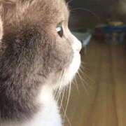 ヒメ日記 2025/11/13 10:31 投稿 締付たいの♡ MAHARAJA(マハラジャ)千葉