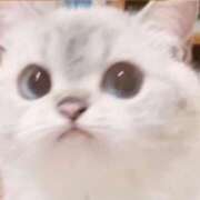 ヒメ日記 2025/11/19 23:16 投稿 締付たいの♡ MAHARAJA(マハラジャ)千葉